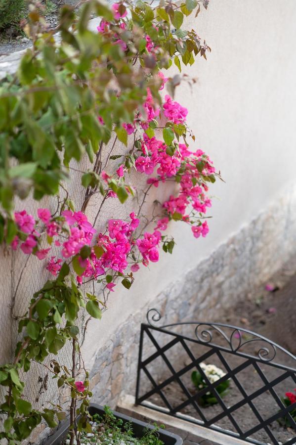 La Magnolia Gasthof Procida